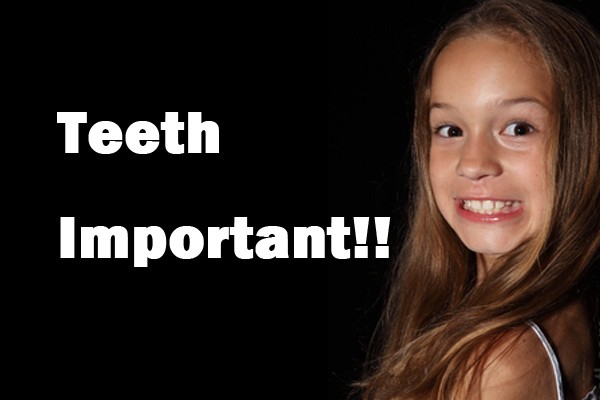 歯並びが良い乳歯は危険？今からできる丈夫な永久歯作り