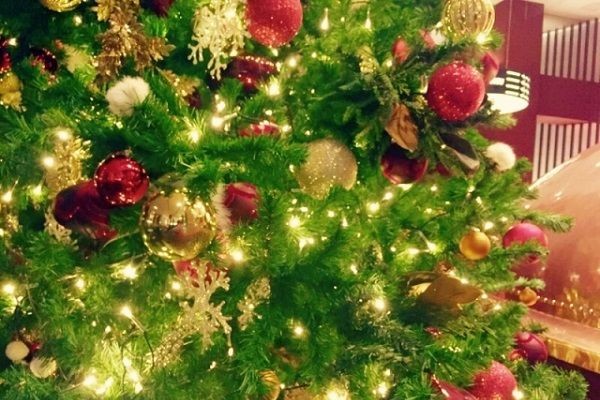5歳の男の子が亡くなった神宮外苑火災事故…クリスマスツリーの電飾も危ない!?