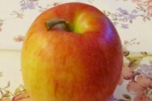 『りんごダイエット』を成功させるには？正しいやり方とおすすめレシピ３選