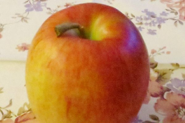 『りんごダイエット』を成功させるには？正しいやり方とおすすめレシピ３選