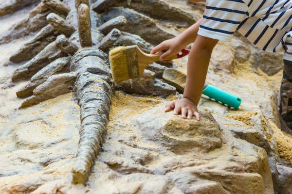 子供の探究心をくすぐる！化石発掘体験ができるスポットとおすすめ知育玩具まとめ