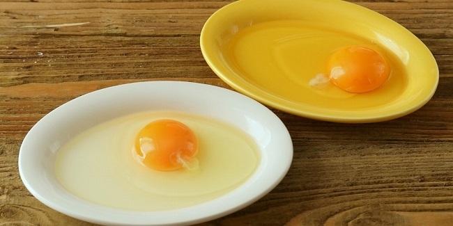 手軽に食べられる卵。実は美容食材だったって本当！？